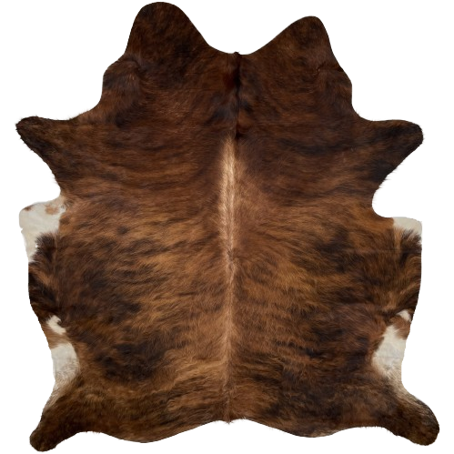 Brown and Black Brazilian Brindle Cowhide:  long hair that is brown, with black, brindle markings, off-white down part of the spine, and a splash of off-white on the belly - 6'11" x 5'10" (BRBR1133)