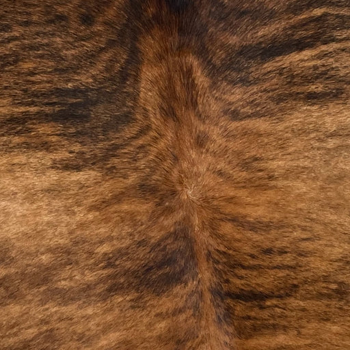 Closeup of this Brazilian Brindle Cow hide, showing brown, with black, brindle markings (BRBR1134)