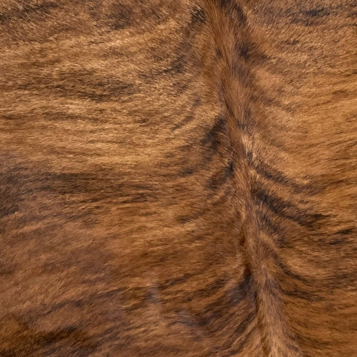 Closeup of this Brazilian, Brindle Cow skin, showing brown and reddish brown, with black, brindle markings (BRBR1137)