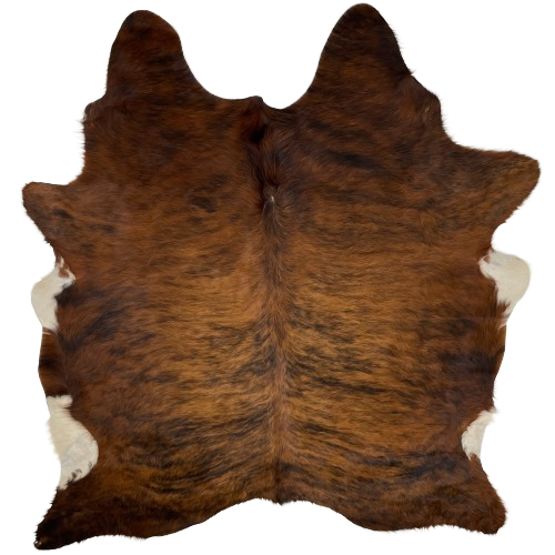 Reddish Brown and Black Brazilian Brindle Cowhide: has long hair that is reddish brown, with black, brindle markings, and it has a splash of off-white on the belly - 6'11" x 5'9" (BRBR1138)