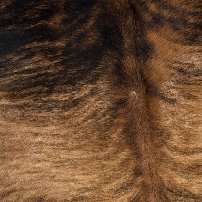 Closeup of this Brazilian, Brindle Cowhide, showing brown, with black and darker brown, brindle markings, and black, with brown brindle markings on the shoulder (BRBR1140)