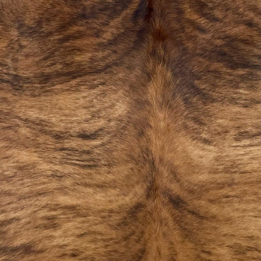 Closeup of this Brazilian, Brindle Cow hide, showing brown with black, brindle markings (BRBR1149)