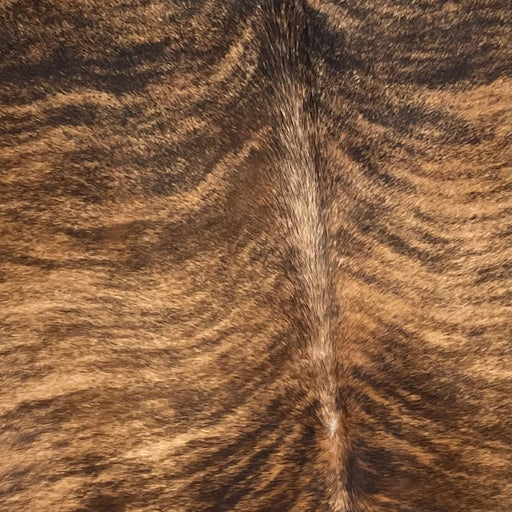 Closeup of this Brazilian, Brindle Cowhide, showing light brown and darker brown, with black, brindle markings (BRBR1151)