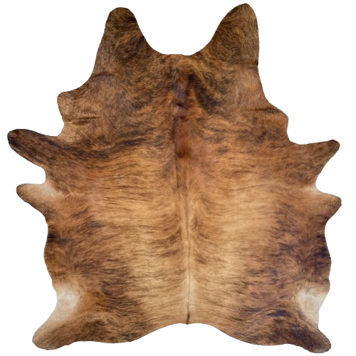 XXXL Reddish Brown and Black Brazilian Brindle Cowhide:  light reddish brown, with darker brown, brindle markings on the back, and reddish brown, with black, brindle markings, on the belly, butt, shoulder, and shanks - 9' x 7' (BRBR1153)