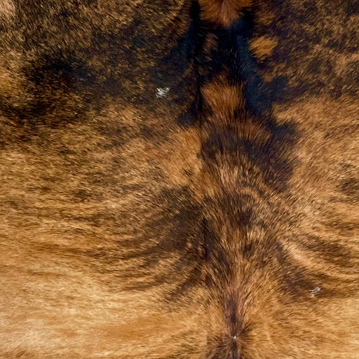 Closeup of this Large, Brazilian, Brindle Cowhide, showing reddish brown with black and brown, brindle markings (BRBR1154)