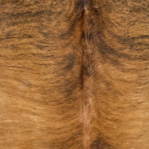 Closeup of this Large, Reddish Brown and Black, Brazilian, Brindle Cow hide, showing  light reddish brown with black, brindle markings (BRBR1156)