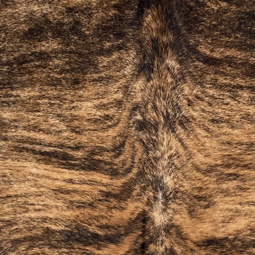 Closeup of this Brazilian, Brindle Cowhide, showing light brown with black, brindle markings (BRBR1158)
