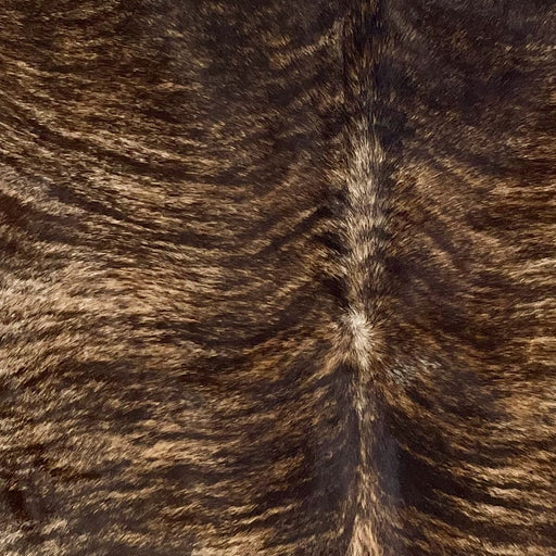 Closeup of this Brazilian, Brindle Cowhide, showing brown with black, brindle markings (BRBR1161)