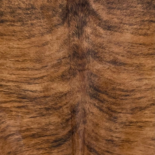 Closeup of this XL, Brown and Black, Brazilian, Brindle Cowhide, showing brown with black, brindle markings (BRBR1162)