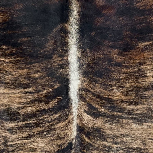 Closeup of this XL, Brazilian, Brindle Cowhide, showing brown and tan with black, brindle markings, and white down part of the spine (BRBR1163)