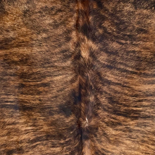 Closeup of this Large, Brazilian, Brindle Cowhide, showing brown with black, brindle markings (BRBR1164)
