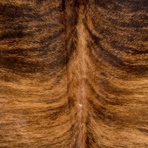 Closeup of this Large, Reddish Brown and Black, Brazilian, Brindle Cowhide, showing reddish brown with black, brindle markings (BRBR1166)