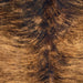 Closeup of this Large, Brown and Black, Brazilian, Brindle Cowhide, showing brown with black, brindle markings (BRBR1167)