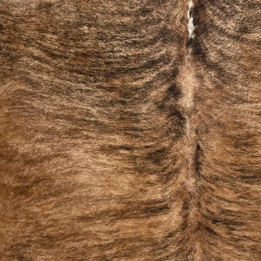 Closeup of this Large, Brazilian, Brindle Cowhide, showing reddish brown and tan, with black, brindle markings, and a touch of white on the spine, in the middle of the shoulder (BRBR1169)