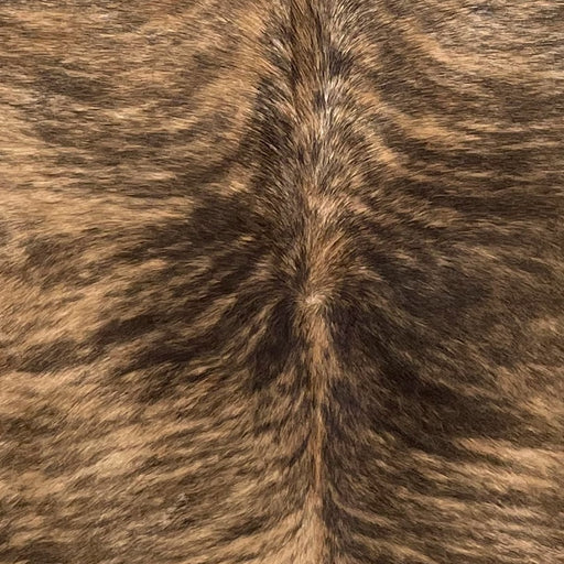 Closeup of this Brazilian, Brindle Cowhide, showing light brown with black and dark brown, brindle markings (BRBR1170)