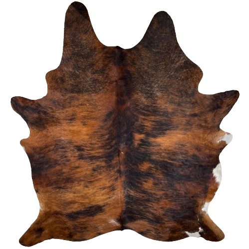 XXL Red Brown and Black Brazilian Brindle Cowhide:  red brown, with black, brindle markings, and it has some white speckles, and a touch of white on the belly and right, hind shank - 8'6" x 6'6" (BRBR1171)
