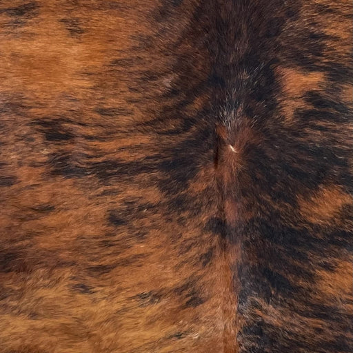 Closeup of this XXL, Brazilian, Brindle Cow hide, showing red brown, with black, brindle markings, and some white speckles (BRBR1171)