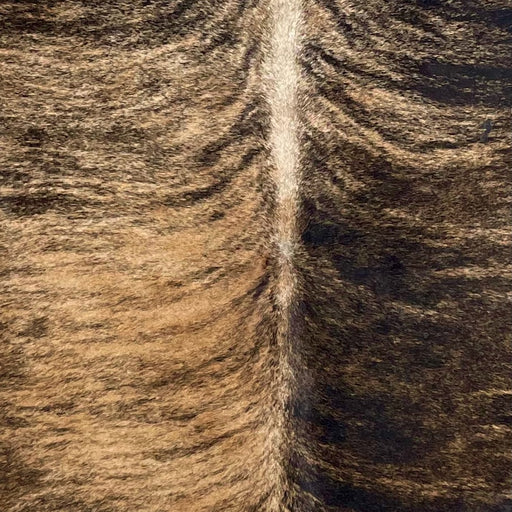 Closeup of this XL, Brazilian, Brindle Cowhide, showing black with tan, brindle markings on most the hide, and tan, with black, brindle markings on the left side of the back, and off-white down part of the spine (BRBR1173)