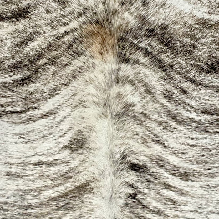 Closeup of this Brazilian Brindle Cowhide, showing white with blackish brown, brindle markings (BRBR1186)