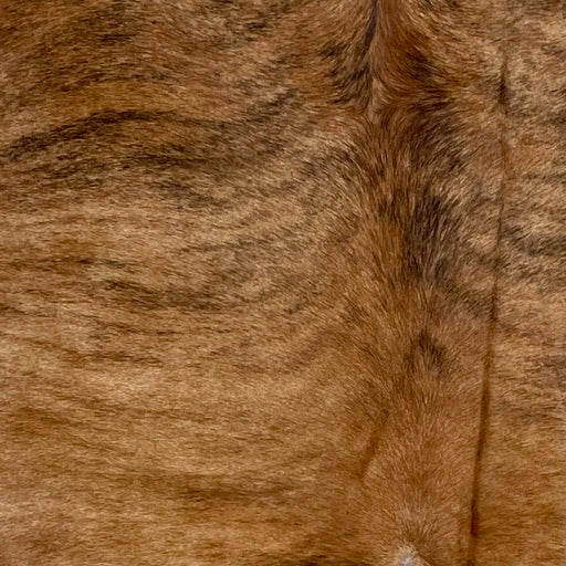 Closeup of this Brazilian, Brindle Cowhide, showing brown with black, brindle markings (BRBR1190)