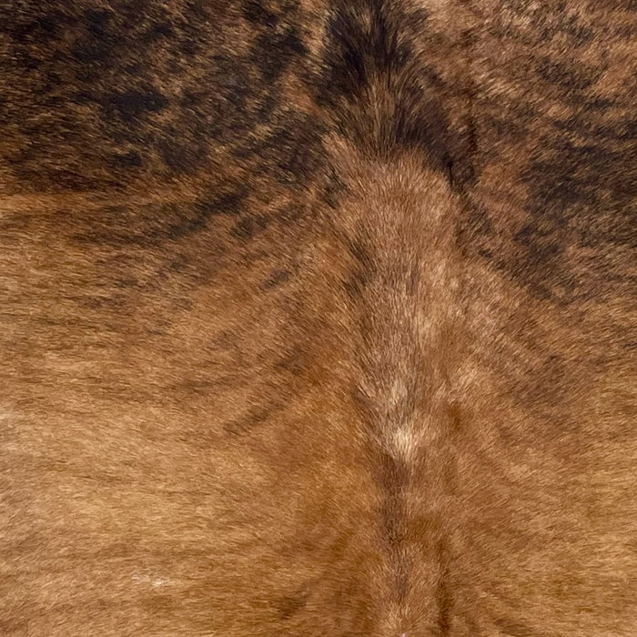 Closeup of this Brazilian, Brindle Cow hide, showing brown, with slightly darker brown, brindle markings, on the back, and black brindle markings on the shoulder (BRBR1193)