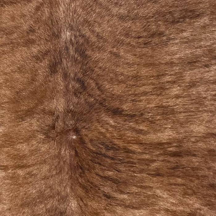 Closeup of this Brazilian, Brindle Cowhide, showing brown with black and darker brown, brindle markings (BRBR1214)