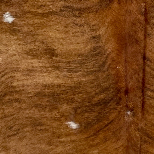 Closeup of this Large Brazilian Brindle Cowhide, showing brown and reddish brown with black, brindle markings, and a few small, white spots  (BRBR1220)