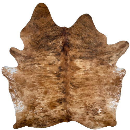 Large Brown and Black Brazilian Brindle Cowhide:  brown with black, brindle markings, and it has darker brown spots, and white, with brown spots, on the belly - 7'10" x 6'8" (BRBR1221)