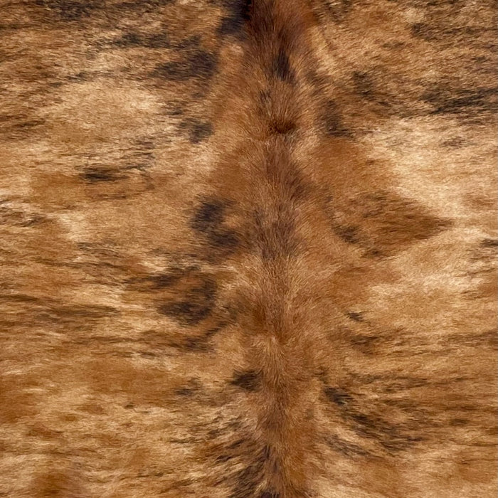 Closeup of this Large, Brazilian, Brindle Cowhide, showing brown with black, brindle markings, and it has darker brown spots (BRBR1221)