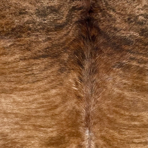 Closeup of this XL, Brazilian, Brindle Cowhide, showing light brown with darker brown and black, brindle markings (BRBR1228)