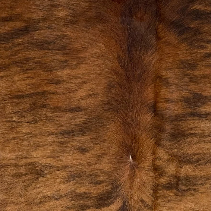 Closeup of this Brazilian Brindle Cowhide, showing brown with black, brindle markings (BRBR1229)