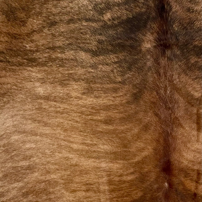 Closeup of this Large Brazilian Brindle Cowhide, showing brown with darker brown and black, brindle markings, and reddish brown down the spine (BRBR1231)