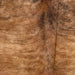 Closeup of this Large, Brazilian, Brindle Cowhide, showing light brown with darker brown and black, brindle markings (BRBR1232)