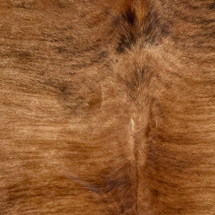 closeup of this Brazilian Brindle Cowhide, showing brown with darker brown and black, brindle markings (BRBR1235)