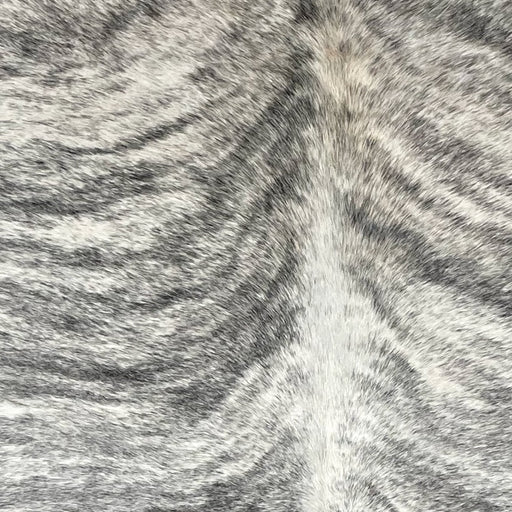 Closeup of this Brazilian Light Brindle Cowhide, showing  white with black, brindle markings  (BRBR1247)