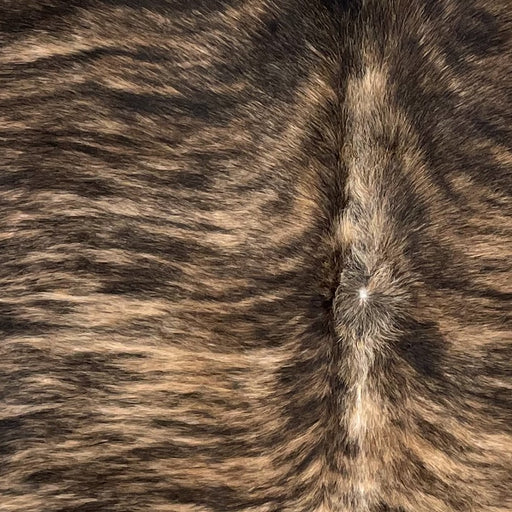  Closeup of this Brazilian Brindle Cowhide, showing tan with black, brindle markings  (BRBR1261)