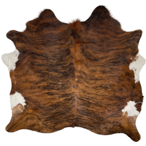 Reddish Brown and Black Brazilian Brindle Cowhide: reddish brown, with black, brindle markings, and it has a couple white spots on the belly - 6'6" x 6'4" (BRBR1266)