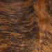 Closeup of this Brazilian Brindle Cowhide, showing reddish brown, with black, brindle markings (BRBR1266)