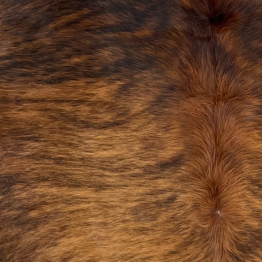 Closeup of this Brazilian Brindle Cowhide, showing  reddish brown with a black, brindle pattern  (BRBR1268)