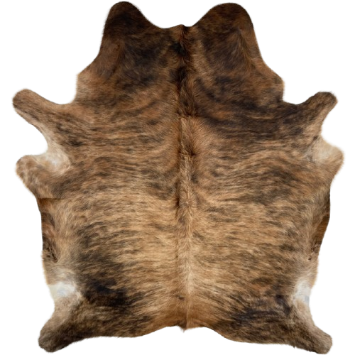 Tan, Brown, Black Brazilian Brindle Cowhide, long hair: has long hair that is tan with brown and black, brindle markings, and brown, with black, brindle markings on part of the shoulder - 6'10" x 5'6" (BRBR1269)