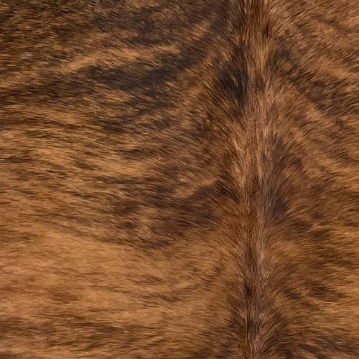 closeup of this Brazilian Brindle Cowhide, showing reddish brown with black, brindle markings (BRBR1275)