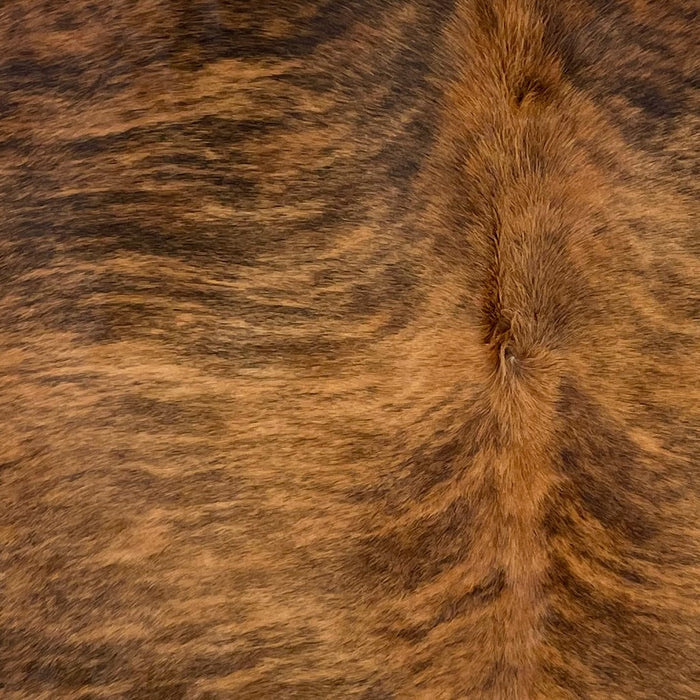 closeup of this Brazilian Brindle Cowhide, showing reddish brown with a black, brindle pattern (BRBR1276)