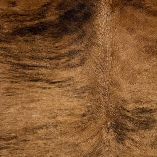 Closeup of this Large Brazilian Brindle Cowhide, showing brown with a black, brindle pattern - 7'7" x 6'3" (BRBR1277) 