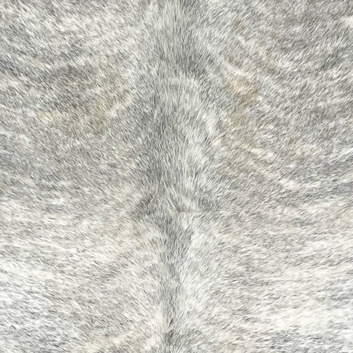 Closeup of this Brazilian Light Brindle Cowhide, showing white with gray brindle markings (BRBR1285)