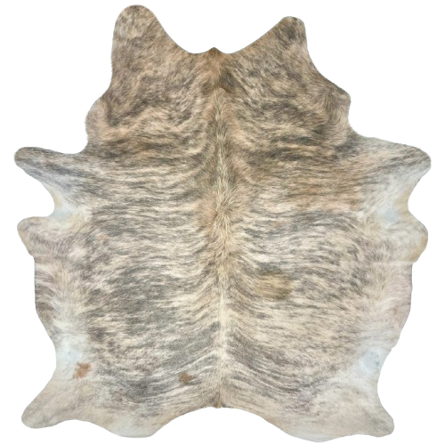 Brazilian Ivory, Light Brown, Gray Lt Brindle Cowhide: ivory with gray, brindle markings, two light brown spots on the left side, and one on the right side, and it has light brown, with gray brindle markings, on the shoulder - 7'2" x 5'10" (BRBR1288)