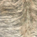 Closeup of this Brazilian Light Brindle Cowhide, showing ivory with gray, brindle markings, and light brown, with gray brindle markings, on the shoulder  (BRBR1288)