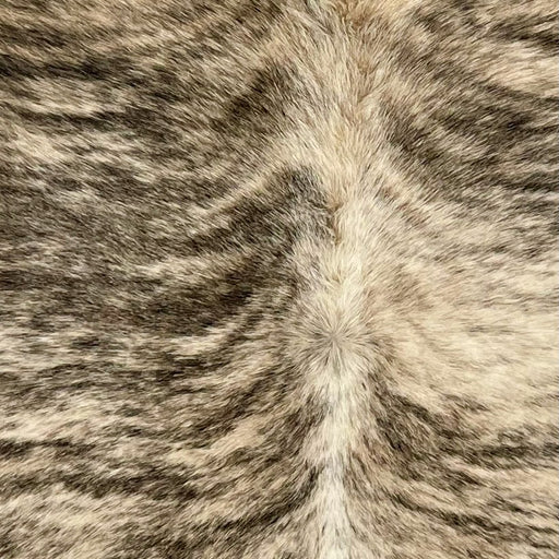 Closeup of this Brazilian Light Brindle Cowhide, showing off-white with black, brindle markings (BRBR1294)