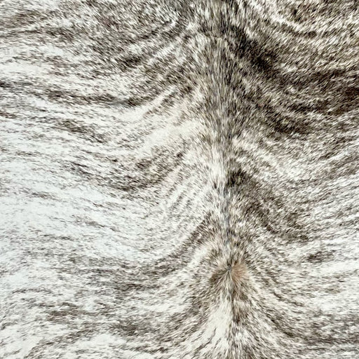 Closeup of this Light Brindle Cowhide, showing white with dark brown, brindle markings (BRBR1296)