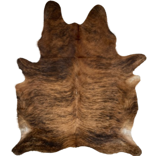 Reddish Brown and Black Brazilian Brindle Cowhide, longer hair: reddish brown with black, brindle markings, and it has longer hair down the spine, and on the butt, shanks, and belly - 7'3" x 5'6" (BRBR1305)