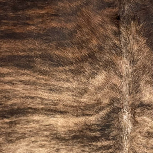 Closeup of this Brazilian Brindle Cowhide, showing long hair that is light tan, with dark brown and black, brindle markings down the middle of the back, and reddish brown with black brindle markings on the shoulder (BRBR1306)